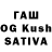 ГАШ VHQ sal trivedi