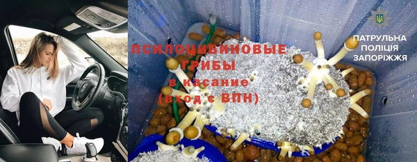 молекула духа Армянск
