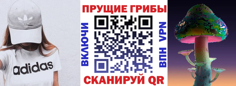 Галлюциногенные грибы GOLDEN TEACHER Барыш
